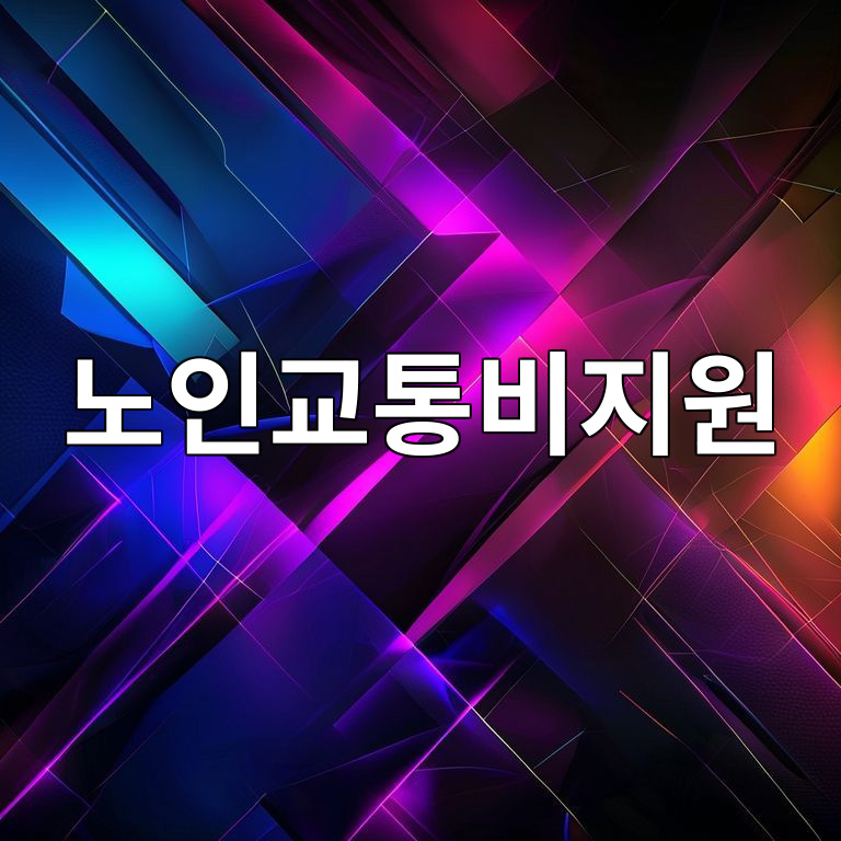 노인교통비지원